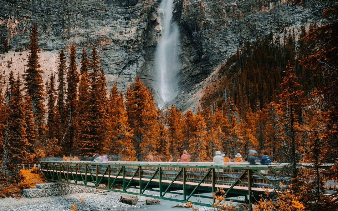 Why Modular Carbon Capture is the Solution Canada Has Been Waiting For